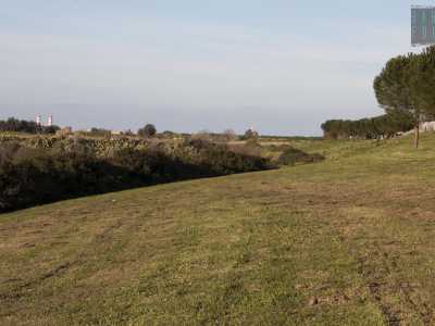 Ma proprio mentre siamo di fronte all�ingresso dell�Ipercoop, davanti a noi si dischiude un panorama che assume i tratti di un quadretto. E� il verde a dominare e un dosso ricoperto da erbetta, arbusti e fichi d�India declina dolcemente verso il basso in una sorta di piccolo �canyon�, proprio accanto alla lama